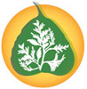 LogoBright_circle